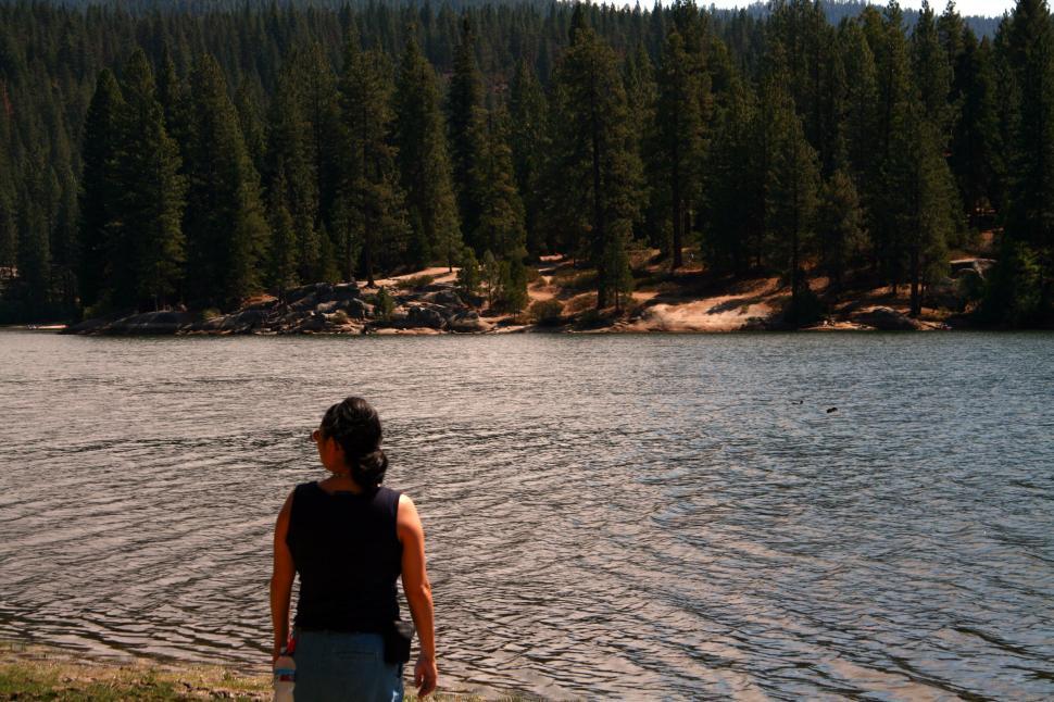 Free Image of Sequoia National Forest 