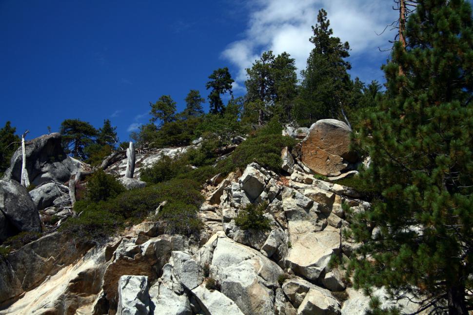 Free Image of Sequoia National Forest 