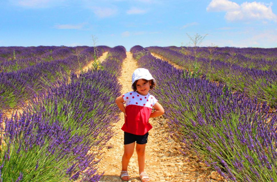 Free Image of Child posing on a field of lavenders in Provence, France 