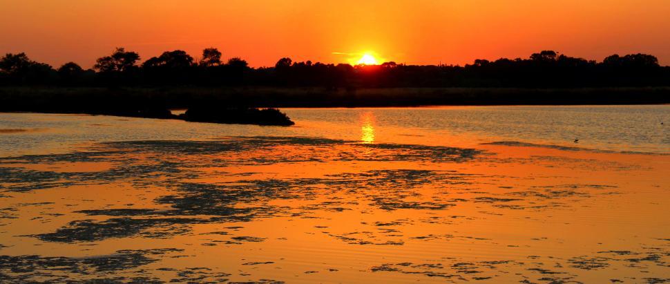 Free Image of Fiery sunset over the salt marsh of Ria Formosa Natural Park in  