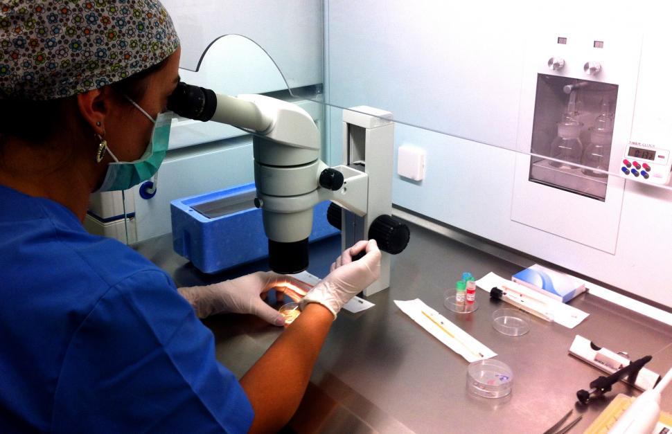 Free Image of Embryologist performing In Vitro Fertilization in the Laboratory 