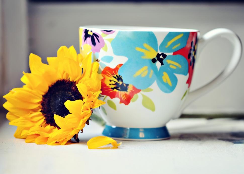 Free Image of Coffee Mug 