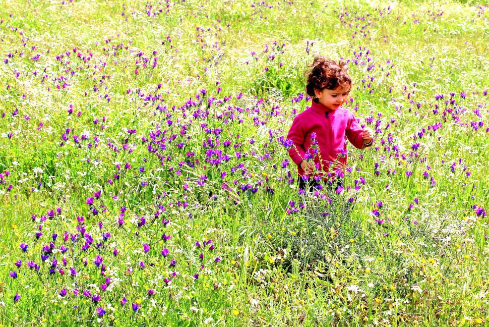 Free Image of Sweet little child in a meadow with wild purple spring flowers 