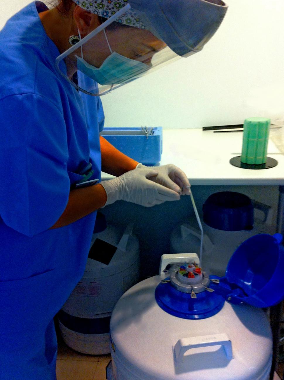 Free Image of Medical Professional in Scrubs and Mask Operating Machine 
