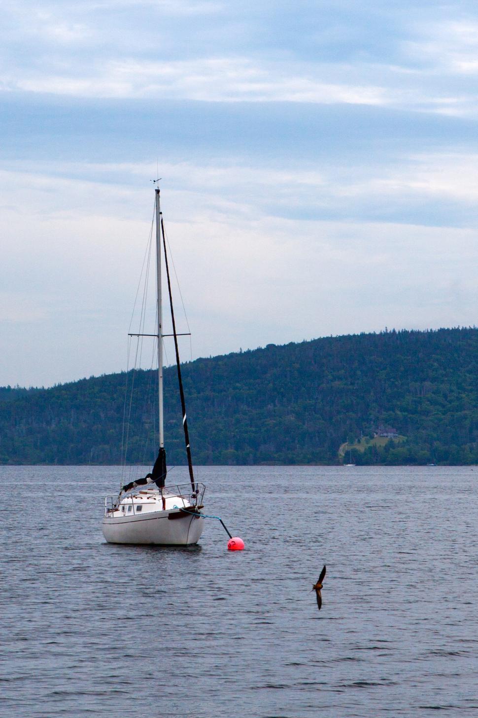 Free Image of Sailing Yacht 