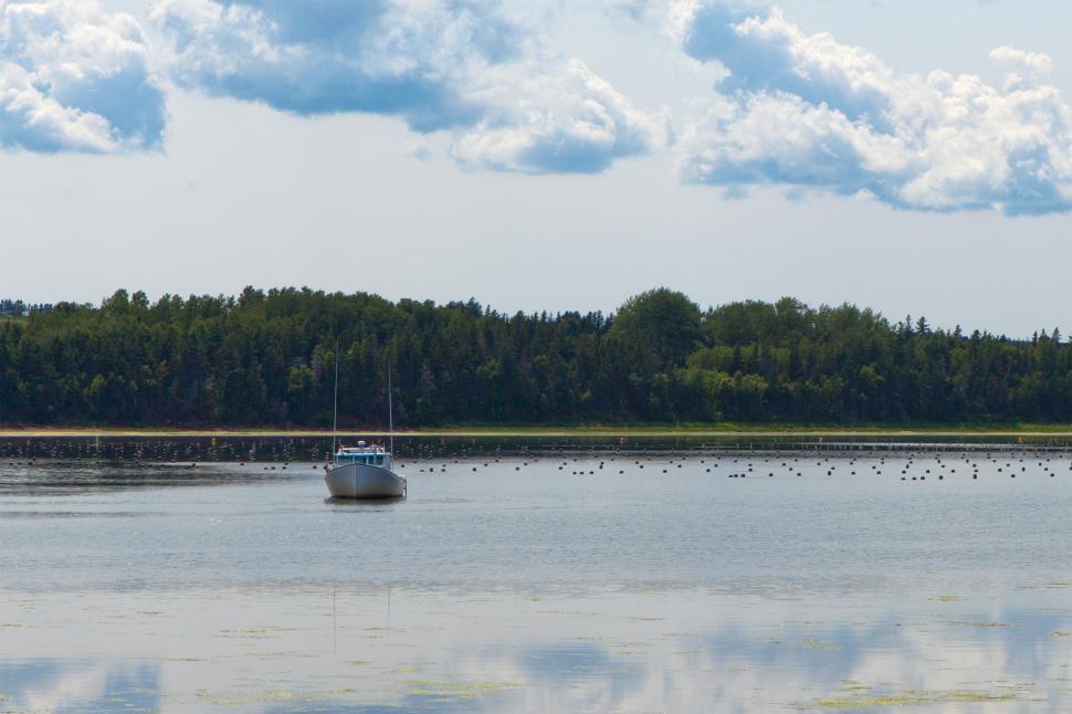 Free Image of Aquaculture 