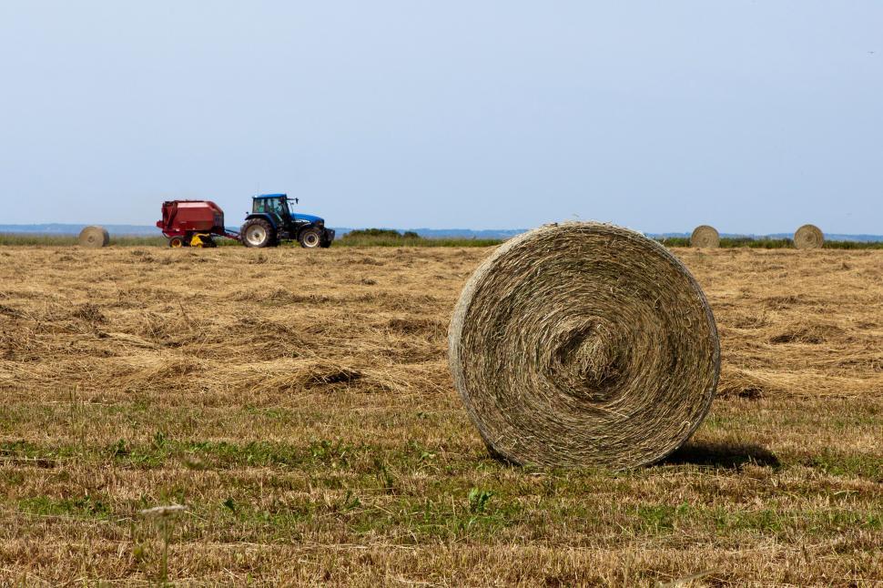 Free Image of Farming 
