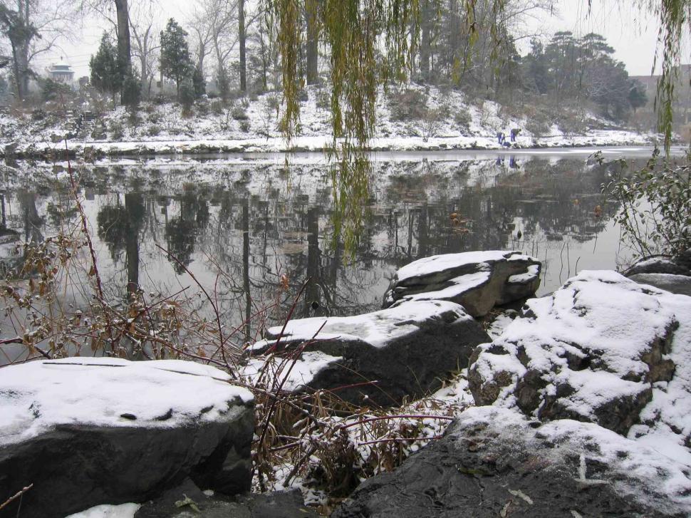 Free Image of Winter lake 