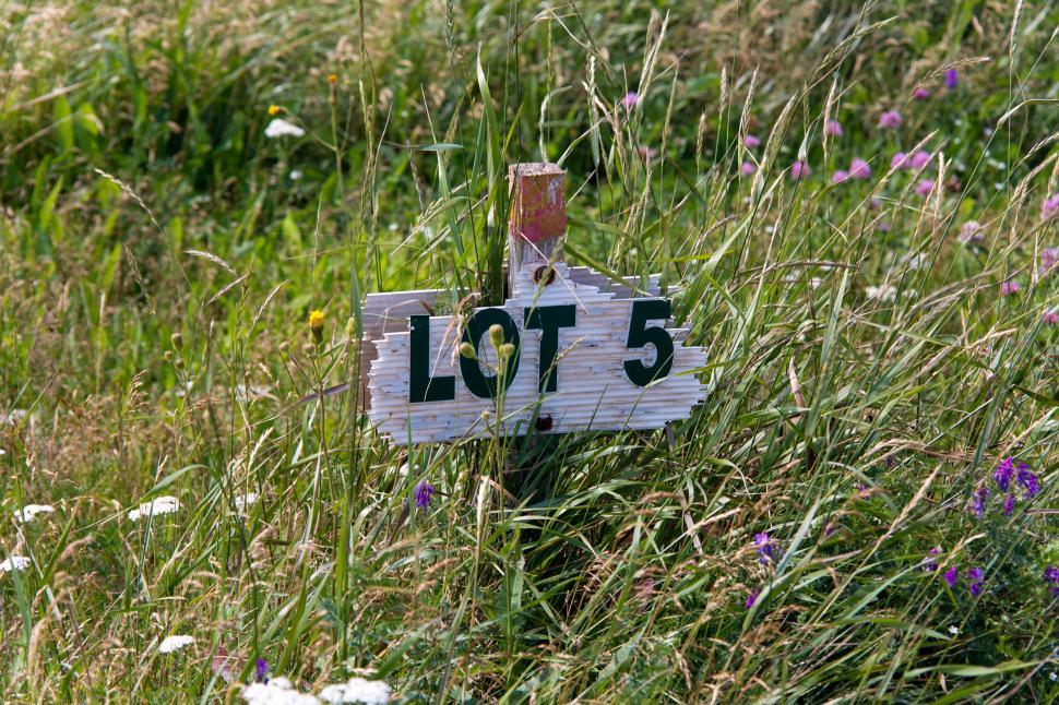 Free Image of Lot Number 