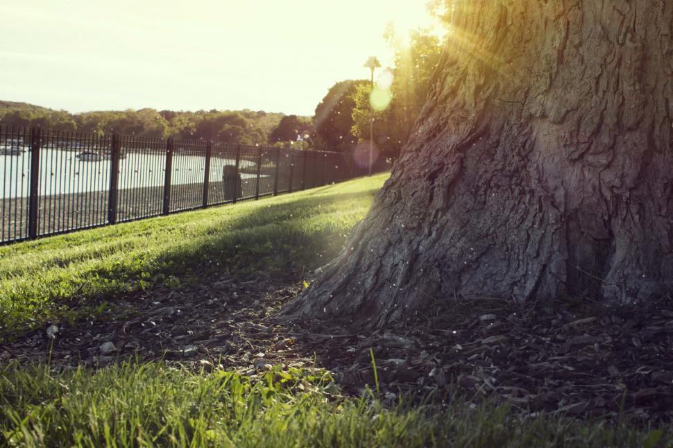 Free Image of State Park 