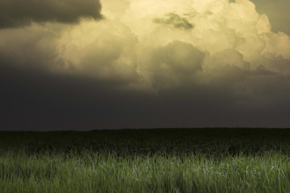 Free Image of The Eye of The Storm 