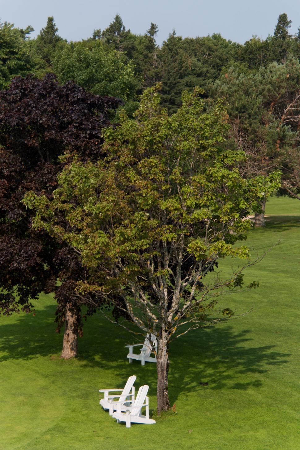 Free Image of Chairs and Green Lawn 