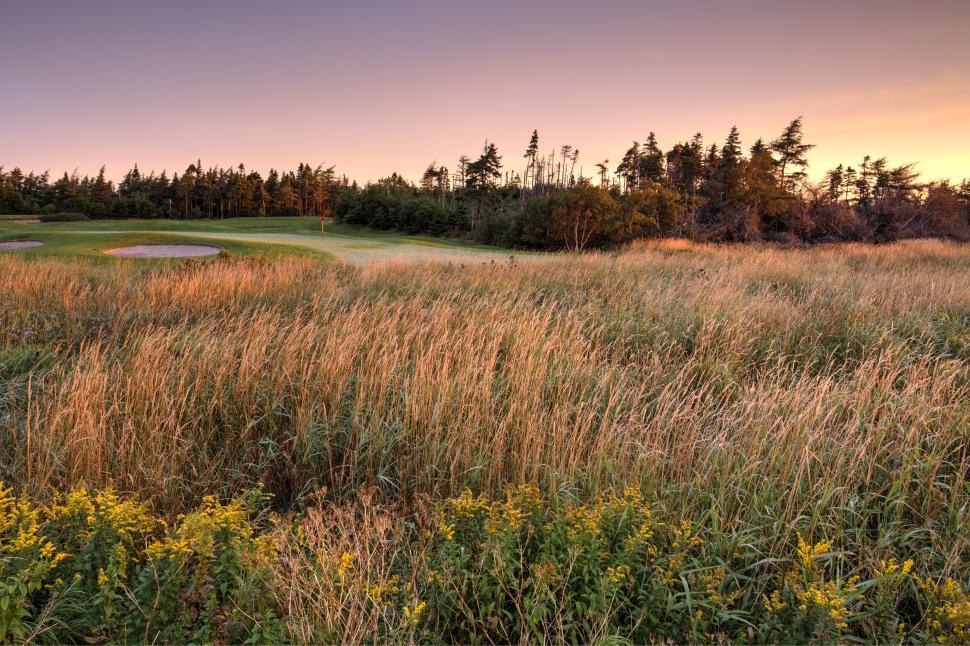 Free Image of Golf Course 