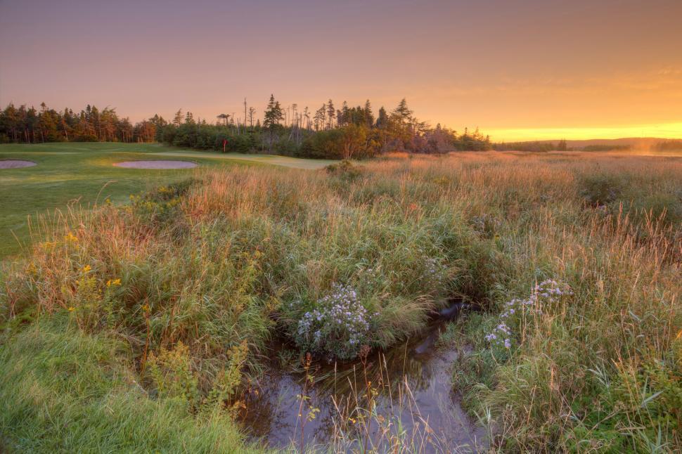 Free Image of Golf Course 