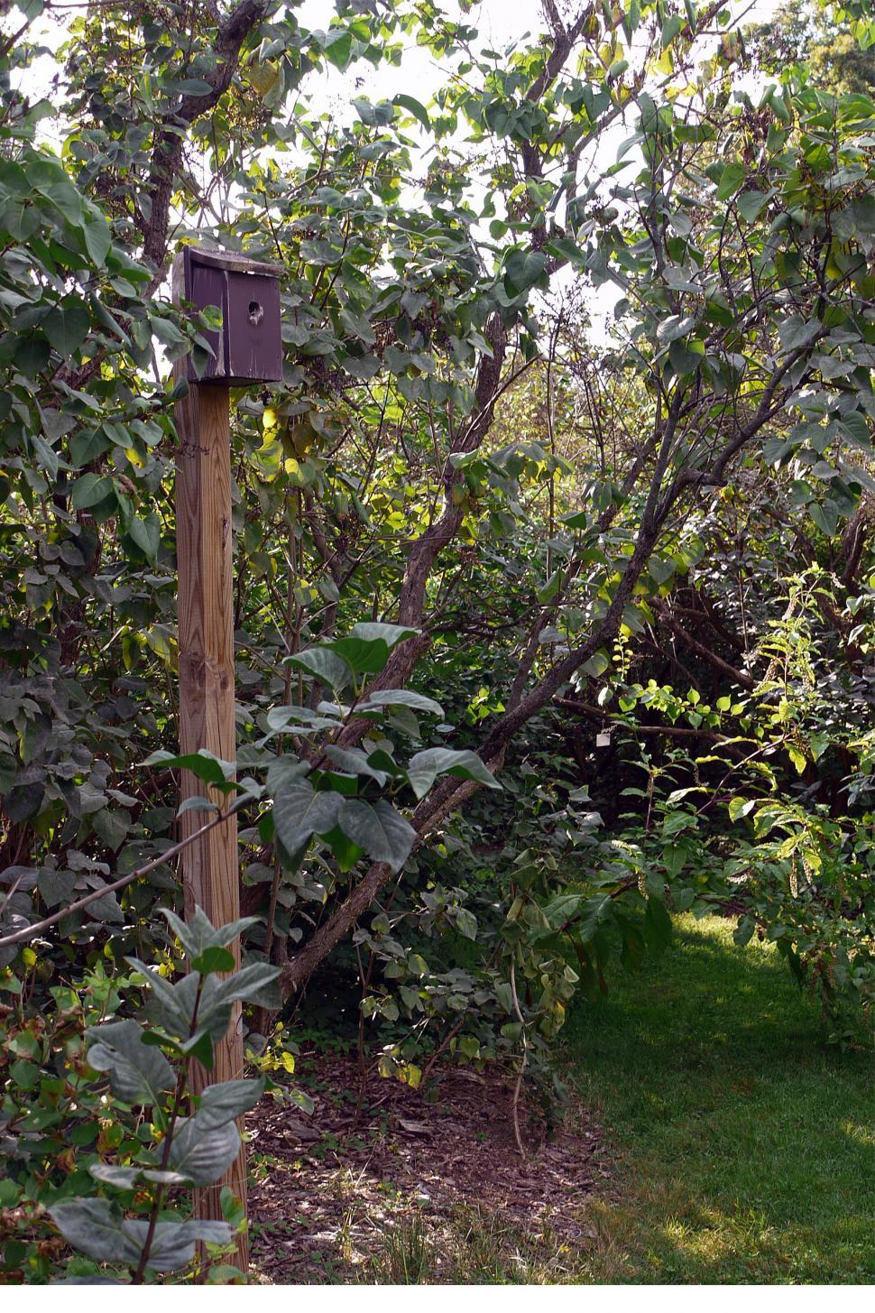 Free Image of BirdHouse  