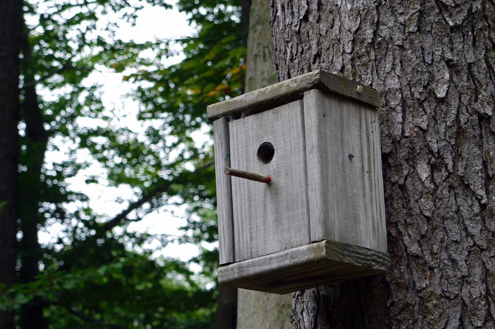 Free Image of BirdHouse 