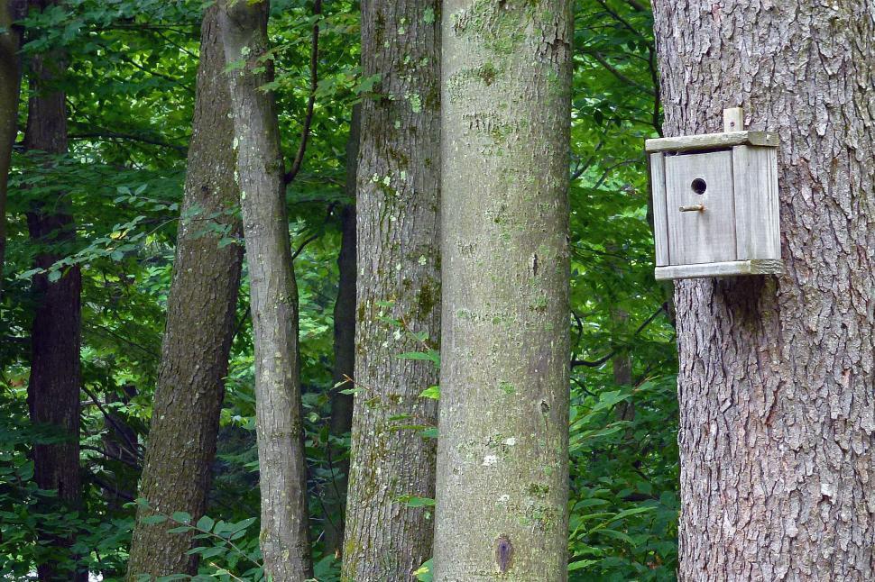Free Image of Bird House 