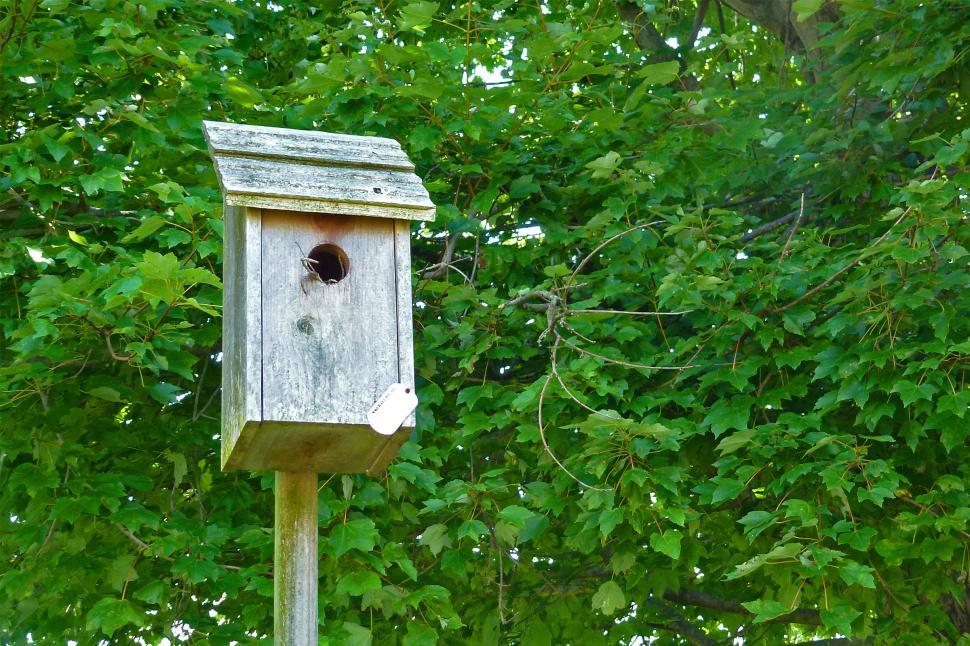 Free Image of Birdhouse 