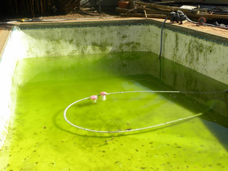 Free Image of Dirty Pool 