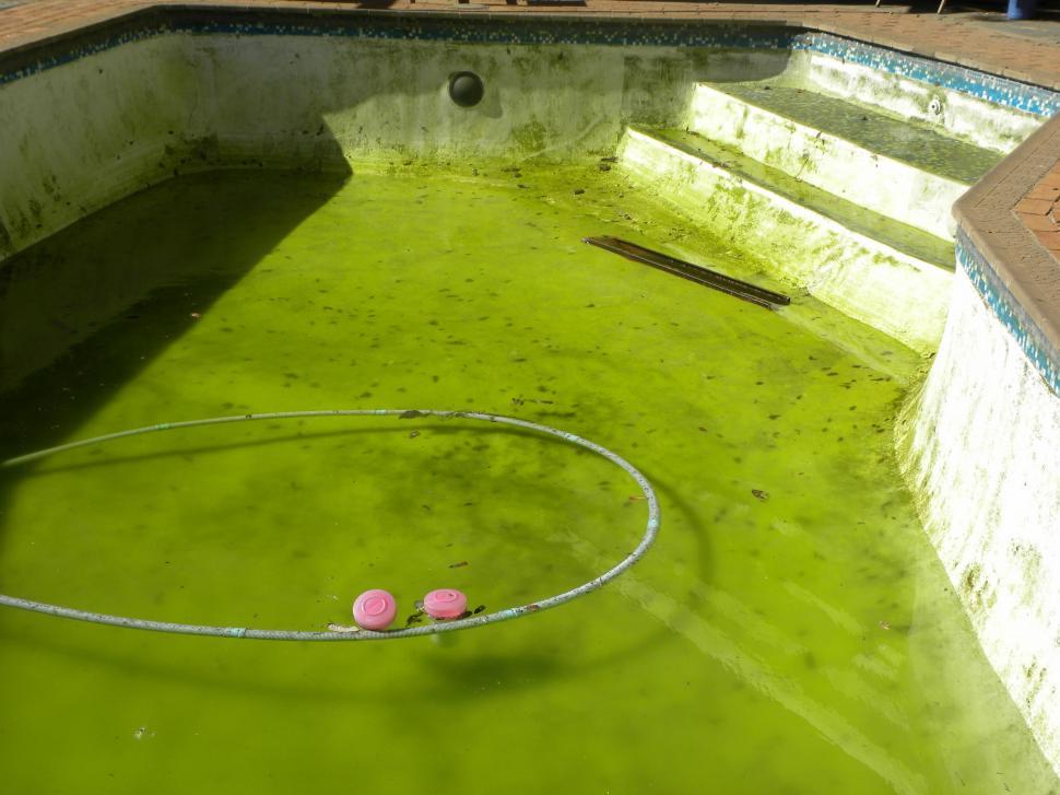 Free Image of Dirty Pool 