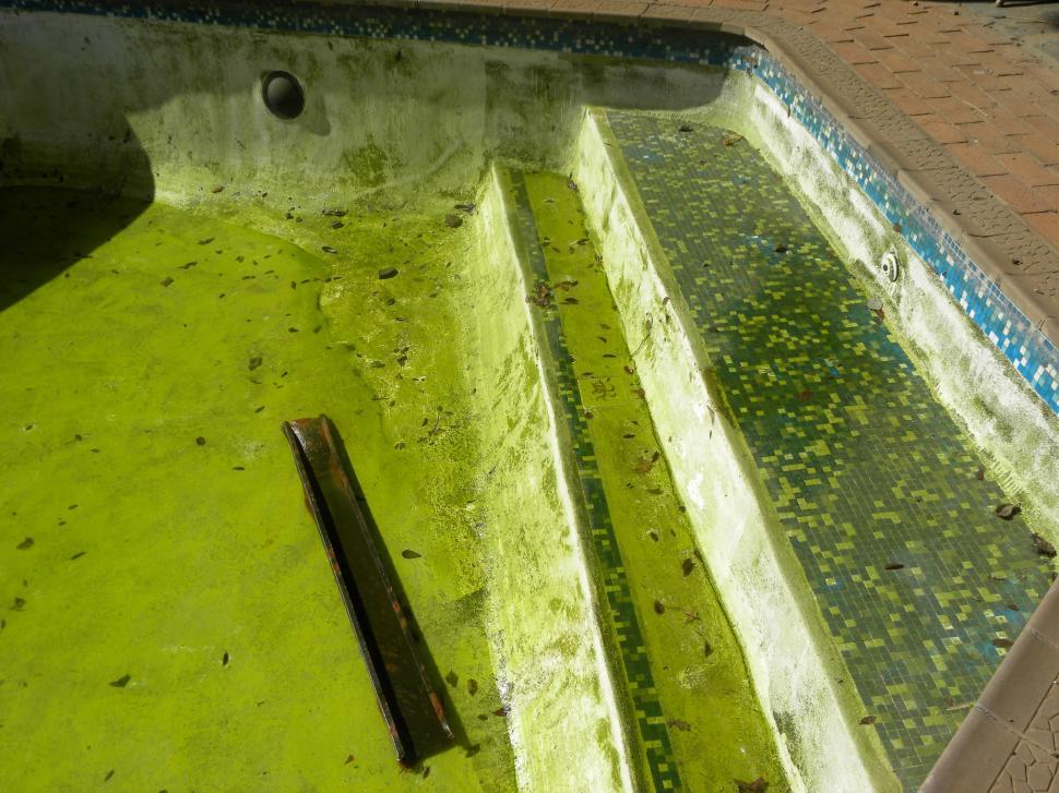Free Image of Dirty Pool 
