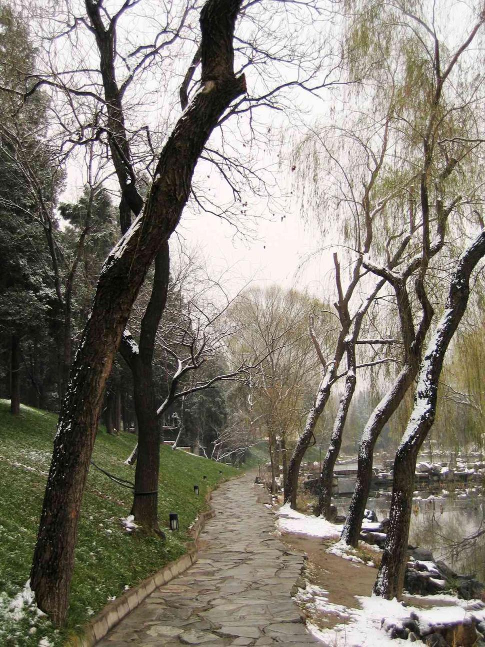 Free Image of Path 