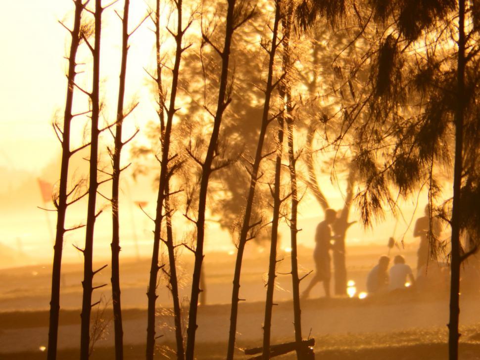 Free Image of People On the Beach at Sunset 