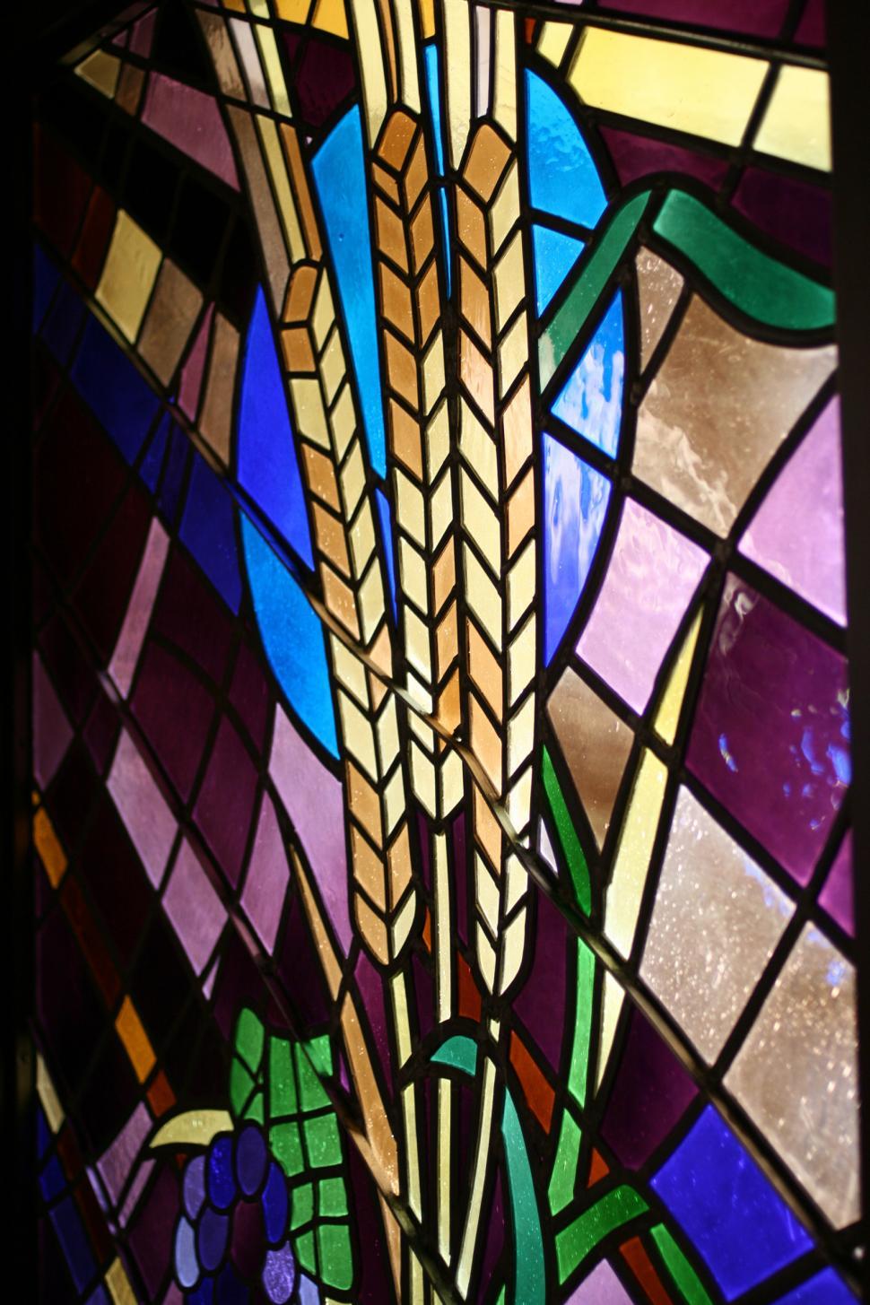 Free Image of Colorful Harvest 