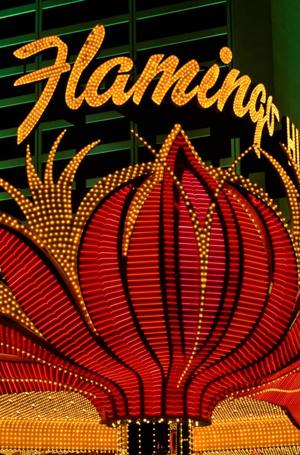 Free Image of Neon Flamingo Hotel Sign 