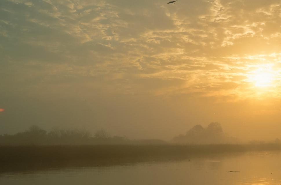 Free Image of Misty Lake 