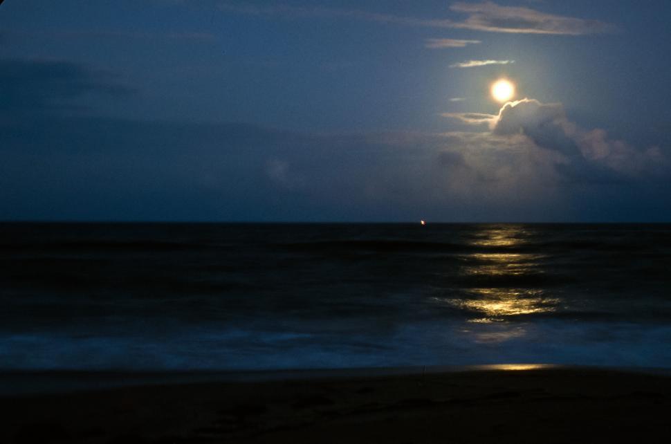 Free Image of Shiny Moon 