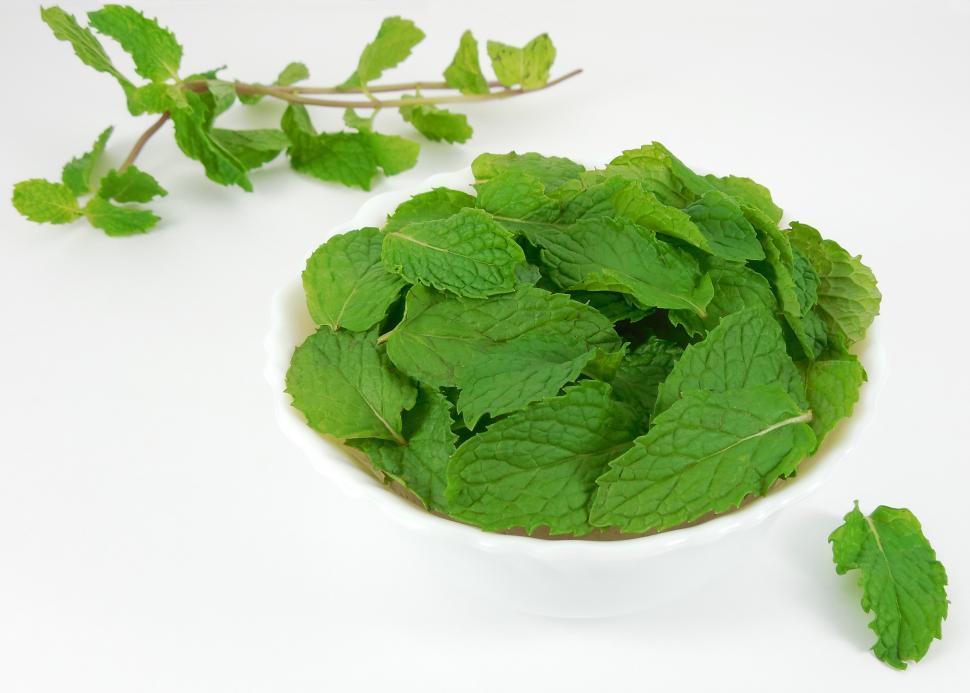 Free Image of Mint leaves 
