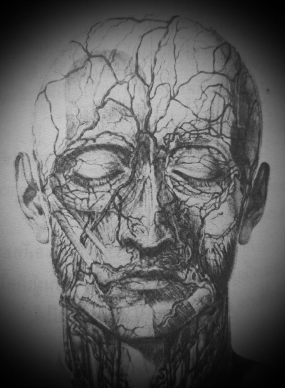 Free Image of Scary Face 