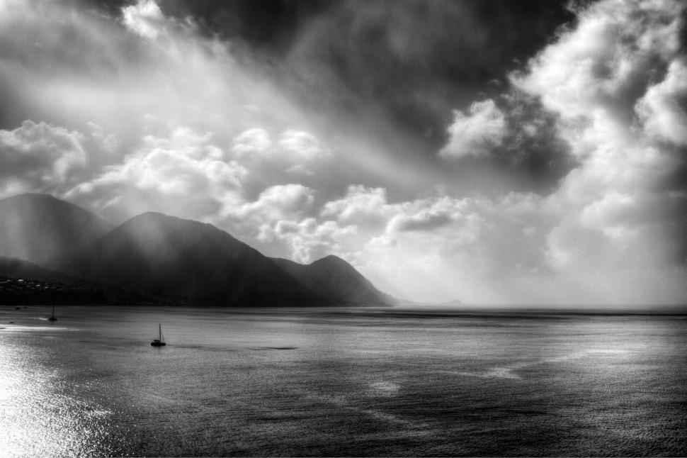 Free Image of Tropical Rain 