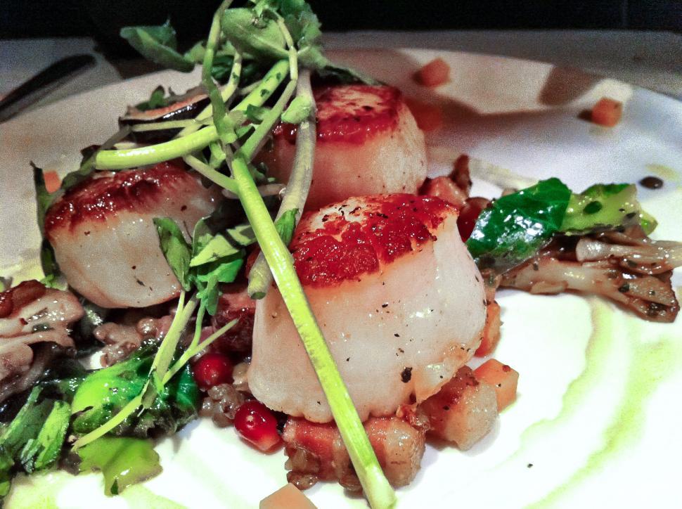 Free Image of Scallops 