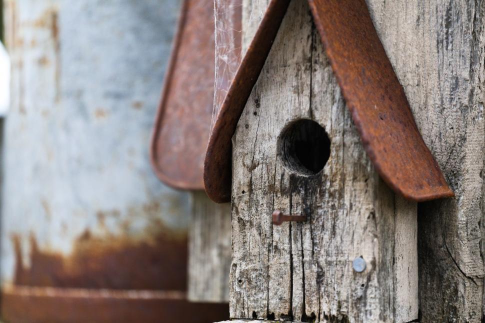 Free Image of Bird house 