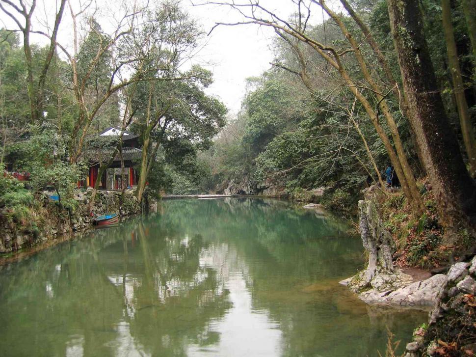 Free Image of tree and river 