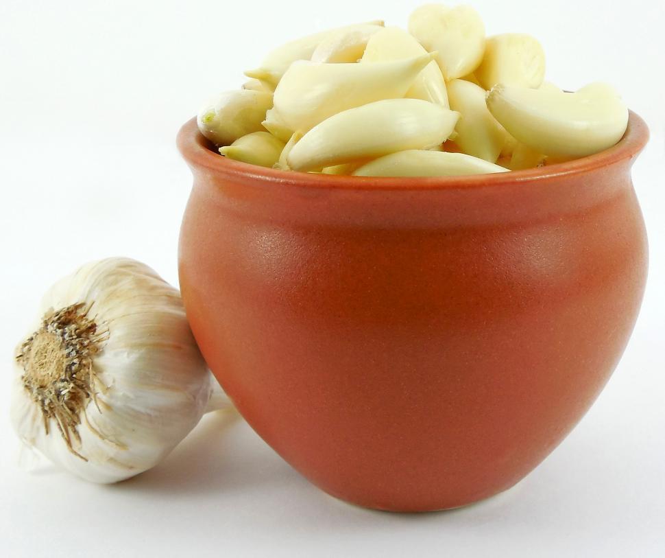 Free Image of Garlic 
