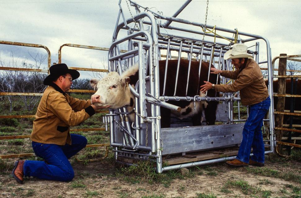 Free Image of Animal caretakers  