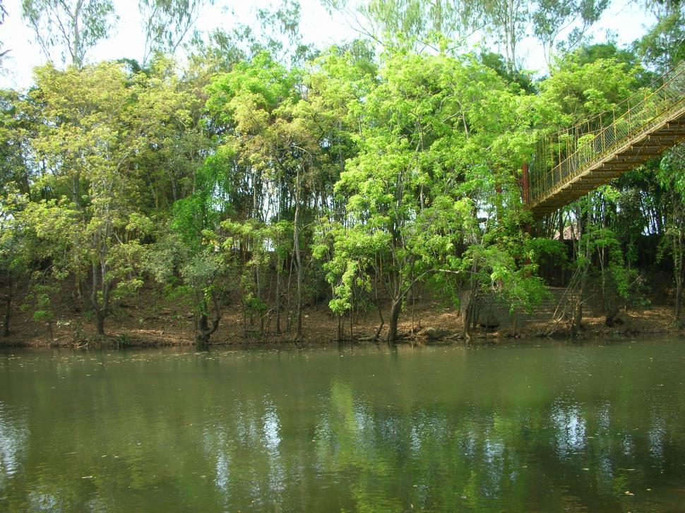Free Image of River 