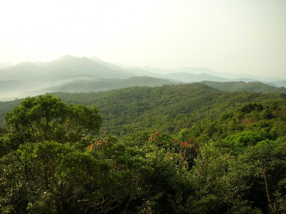 Free Image of Nature 