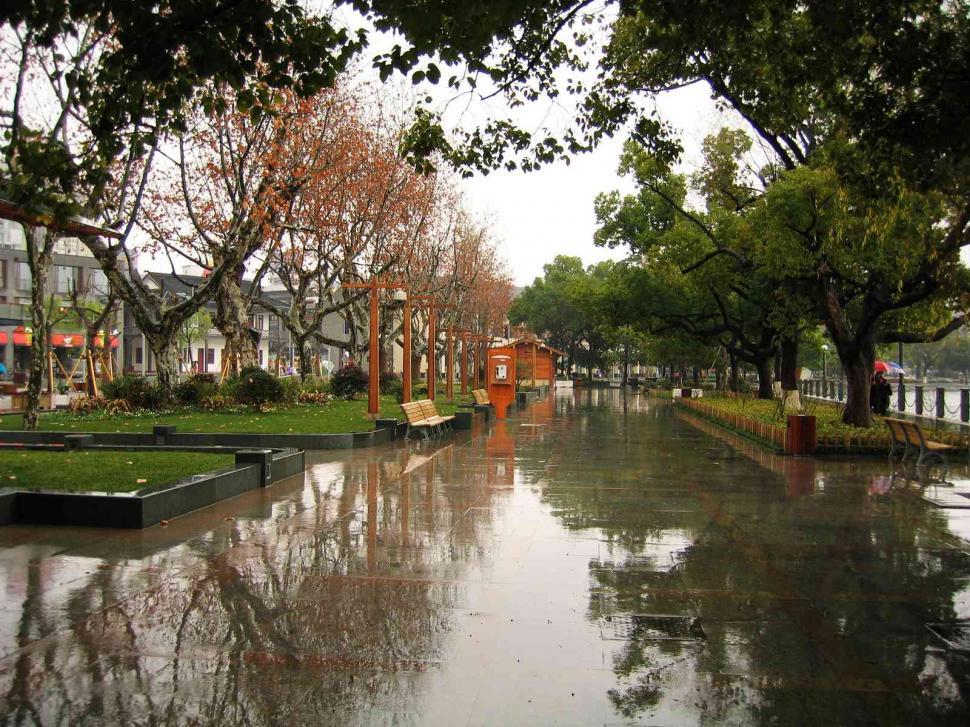 Free Image of Park in rain 