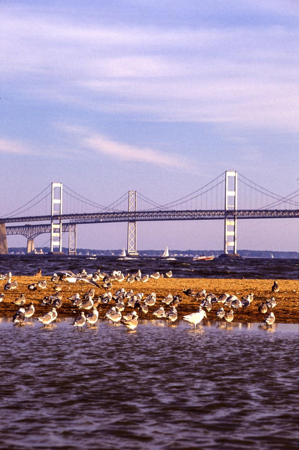 Free Image of Chesapeake Bay Bridge 