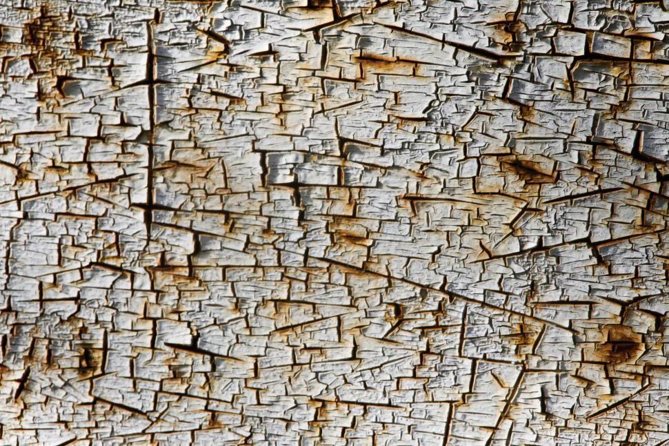 Free Image of Cracked paint 