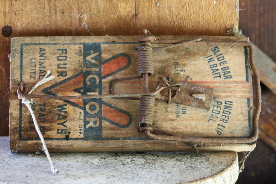 Free Image of Mouse trap 
