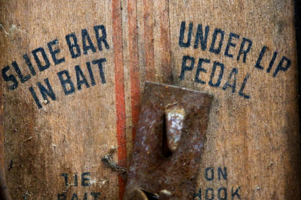 Free Image of Mouse trap detail 