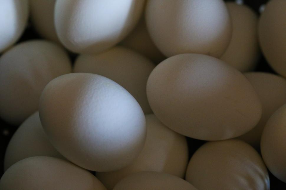 Free Image of Eggs background 