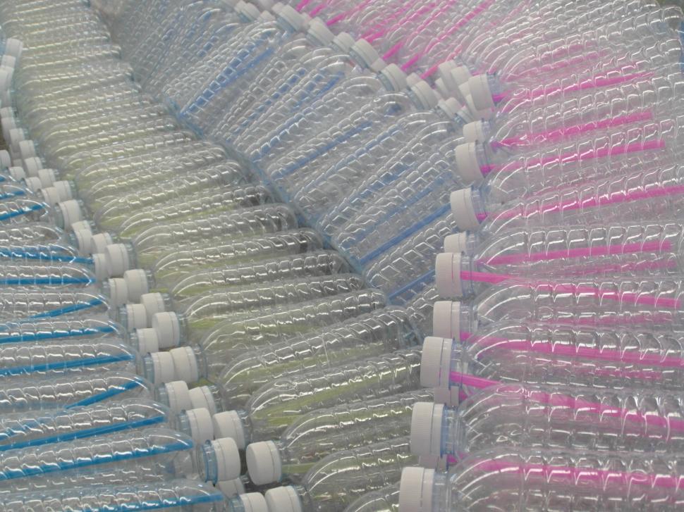 Free Image of Plastic Water Bottles 