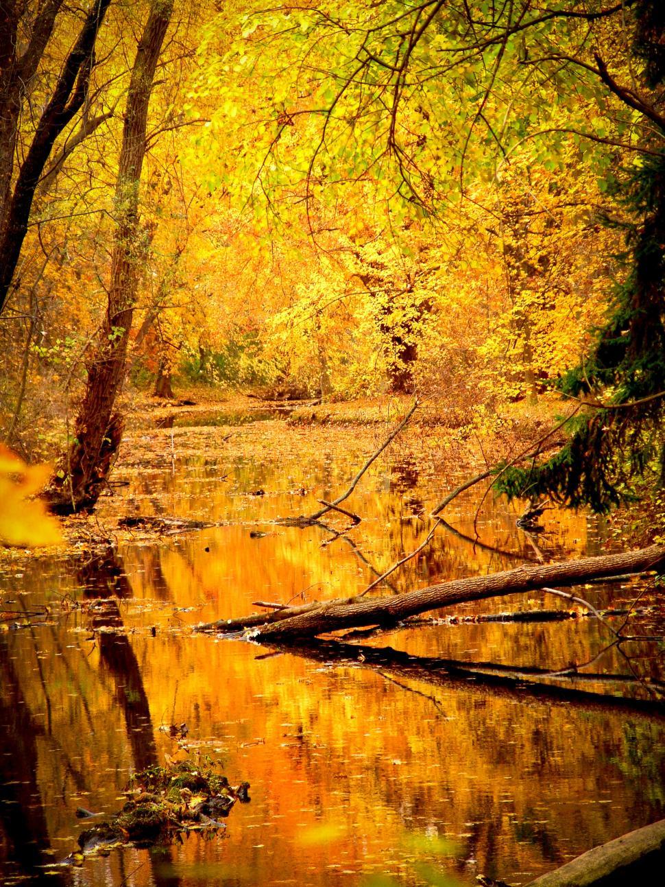Free Image of Lake 