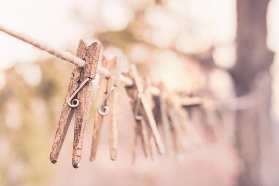 Free Image of Wooden Cloth Pegs 